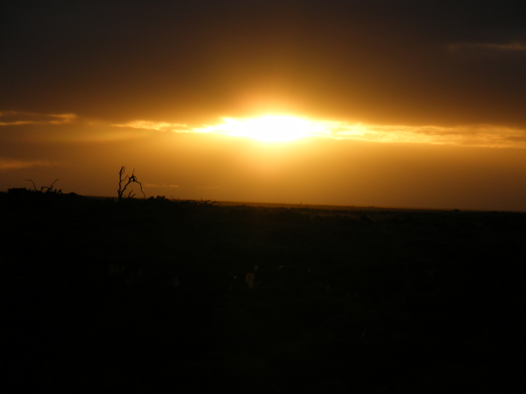 Sydney-Kalgoorlie