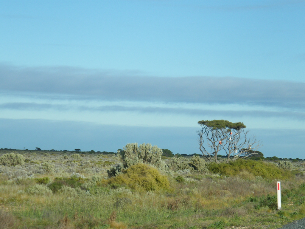 Sydney-Kalgoorlie
