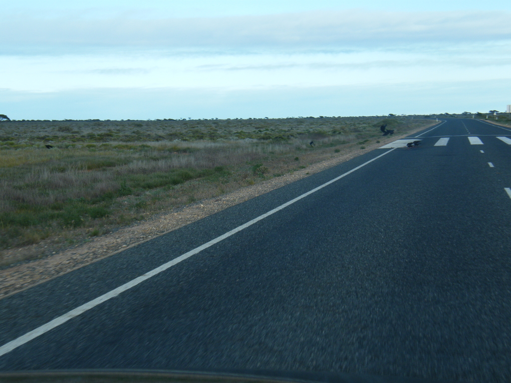 Sydney-Kalgoorlie