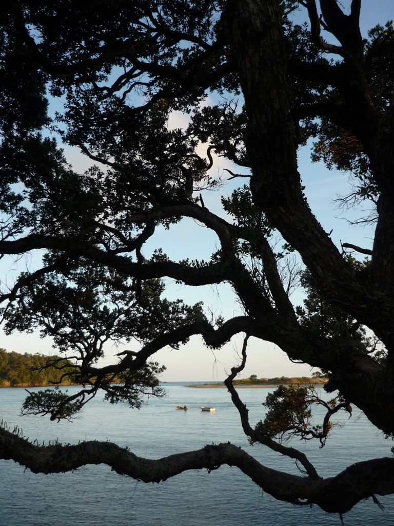 Tutukaka coast