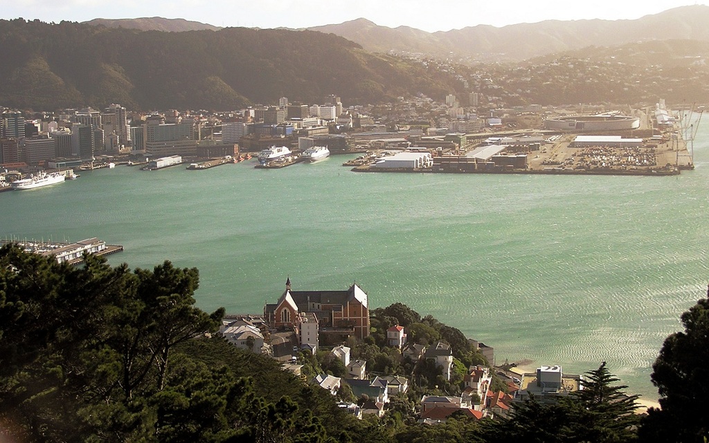View from Mt Victoria