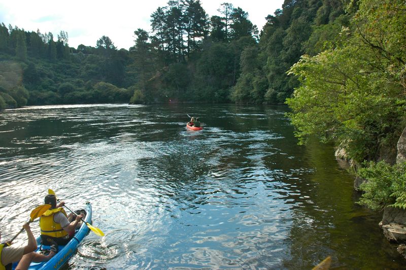 Waikato River near Cambridge