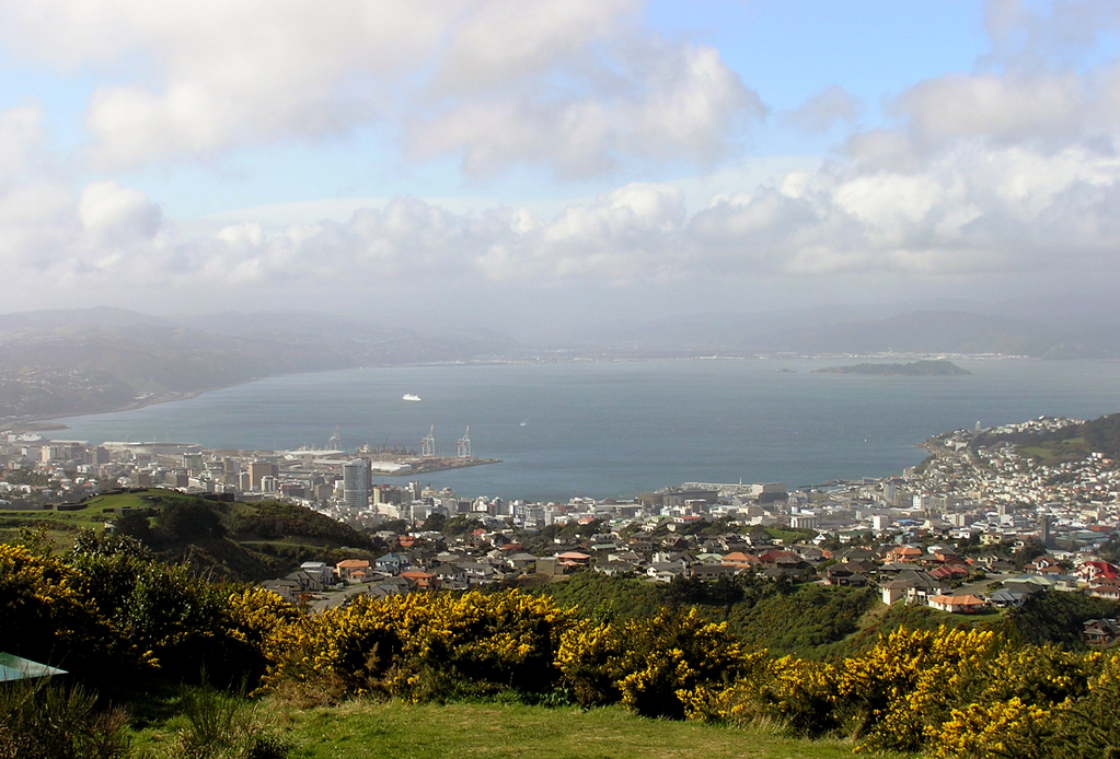 Wellington from Brooklyn Hill