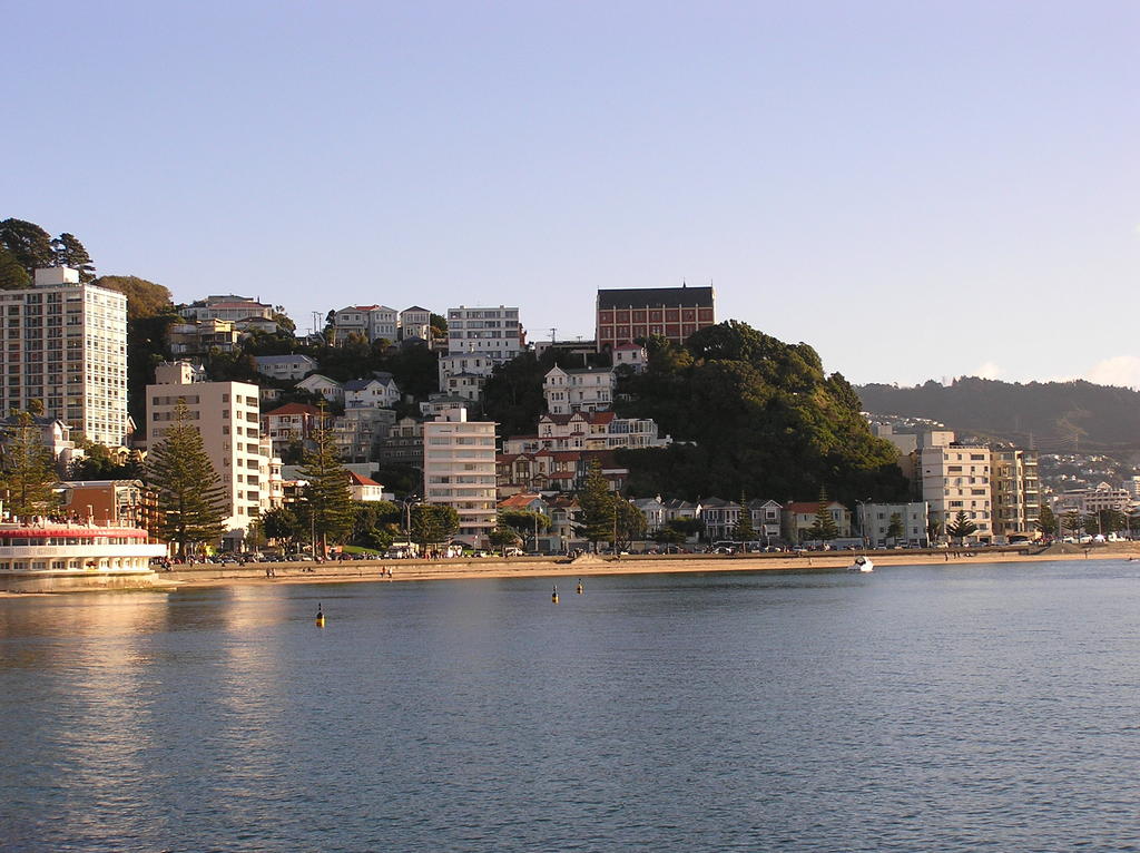 Wellington from Oriental Bay