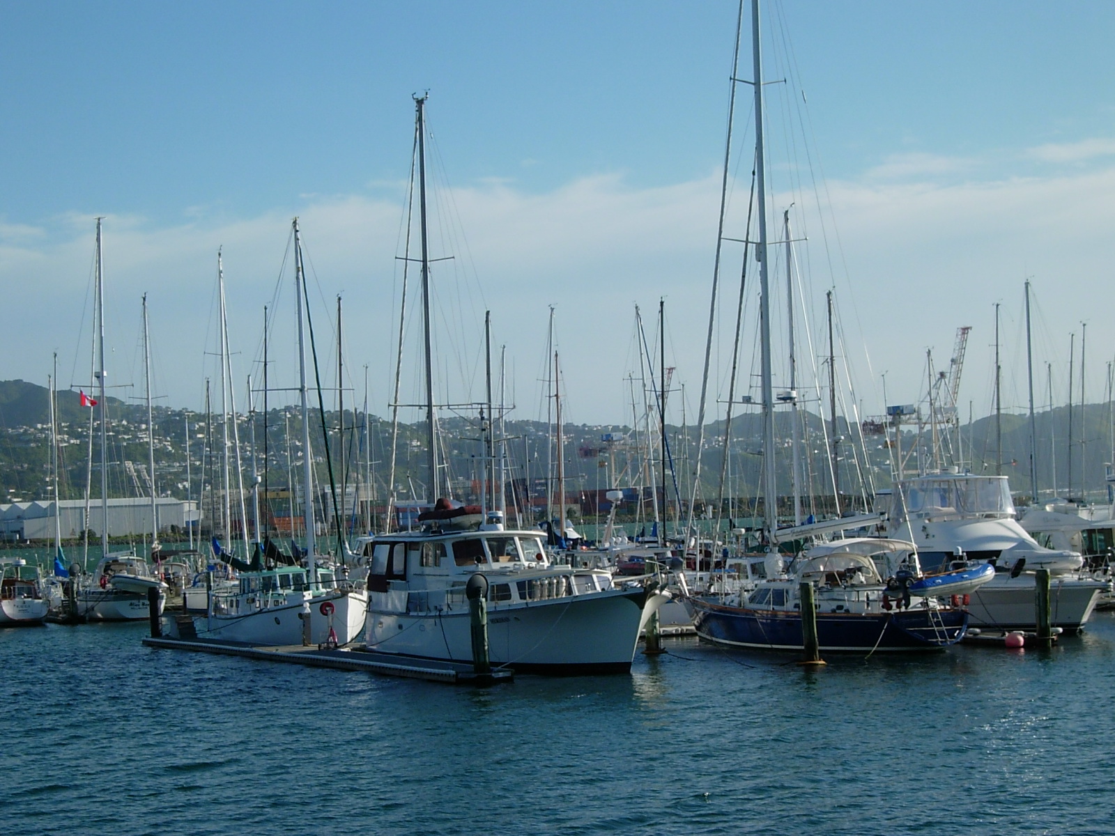 Wellington