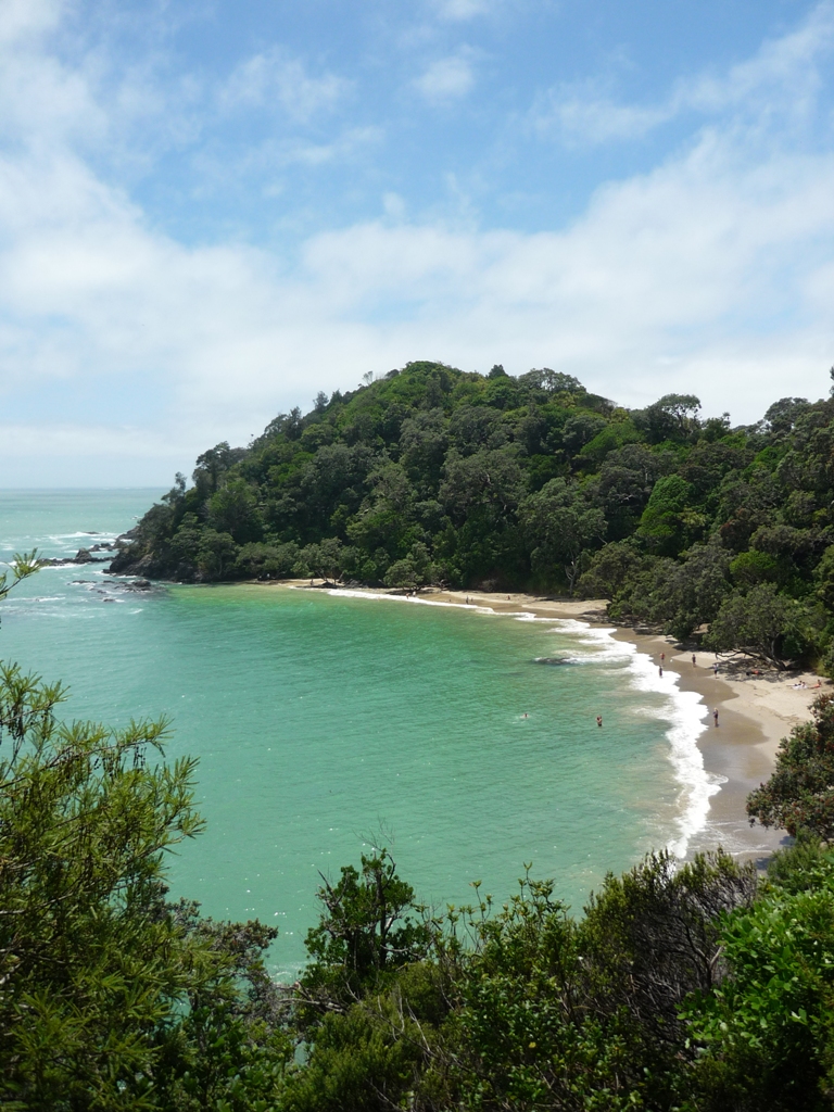 whale bay, northland