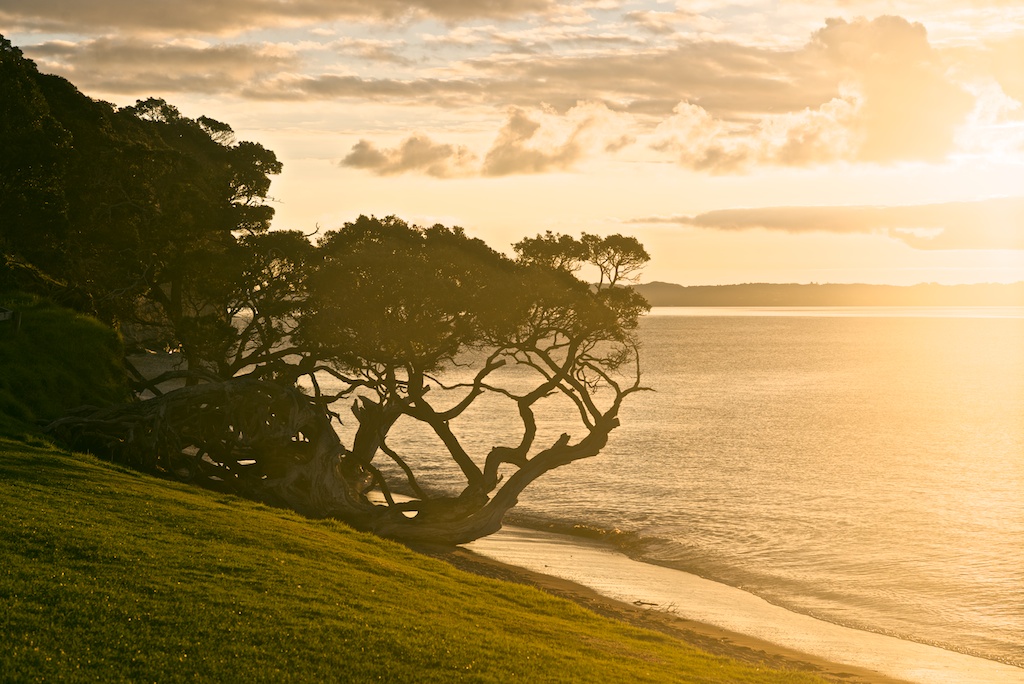 Whangaparaoa