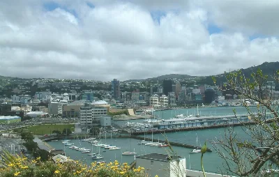 City View From Mt Vic