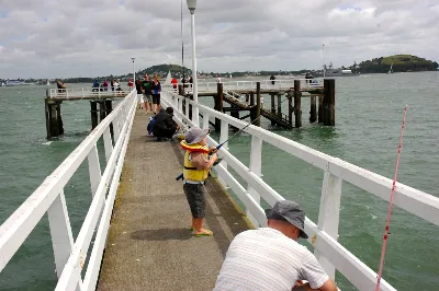 Auckl2011.6