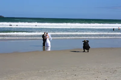 St. Clair Beach, Dunedin