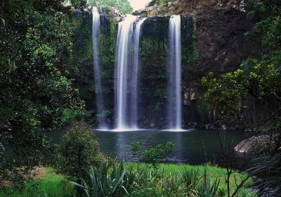 Whangarei Falls Whangarei Northland North Island New Zealand