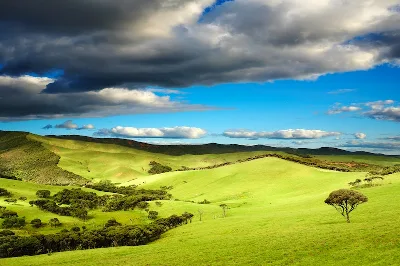 New Zealand Landscape, Пичугин Дмитрий