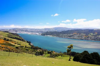 Otago Bay