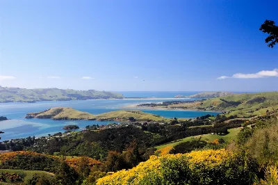 Otago Bay