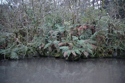 Staglands