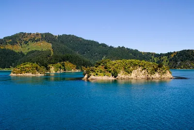 Moioio Island