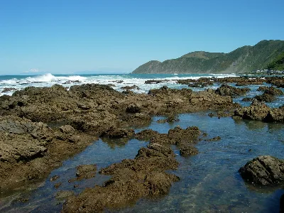 Wellington