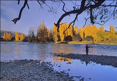 10846 P69 0776