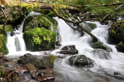 Просто Осень В Maruia Springs